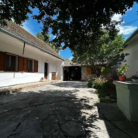 Oaza Mira Porodicna Kuca Za Opustanje Villa อาปาติน ภายนอก รูปภาพ