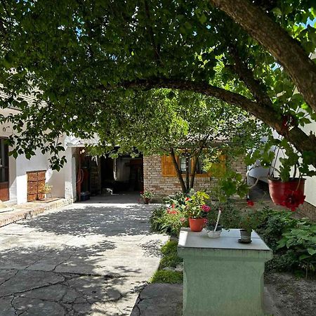 Oaza Mira Porodicna Kuca Za Opustanje Villa อาปาติน ภายนอก รูปภาพ